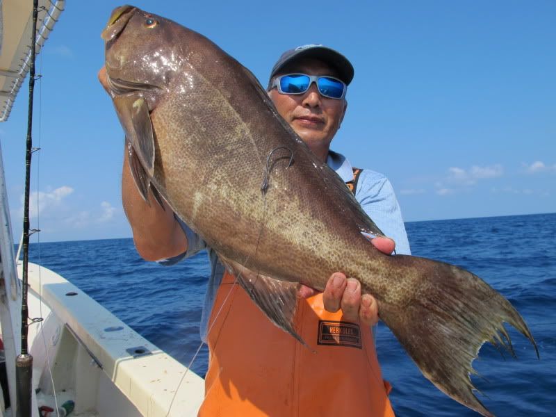 Saltwater Fishing Discussion Board Including Inshore Fishing, Offshore ...