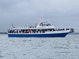 Helen H Fishing Boat In Hyannis Ma