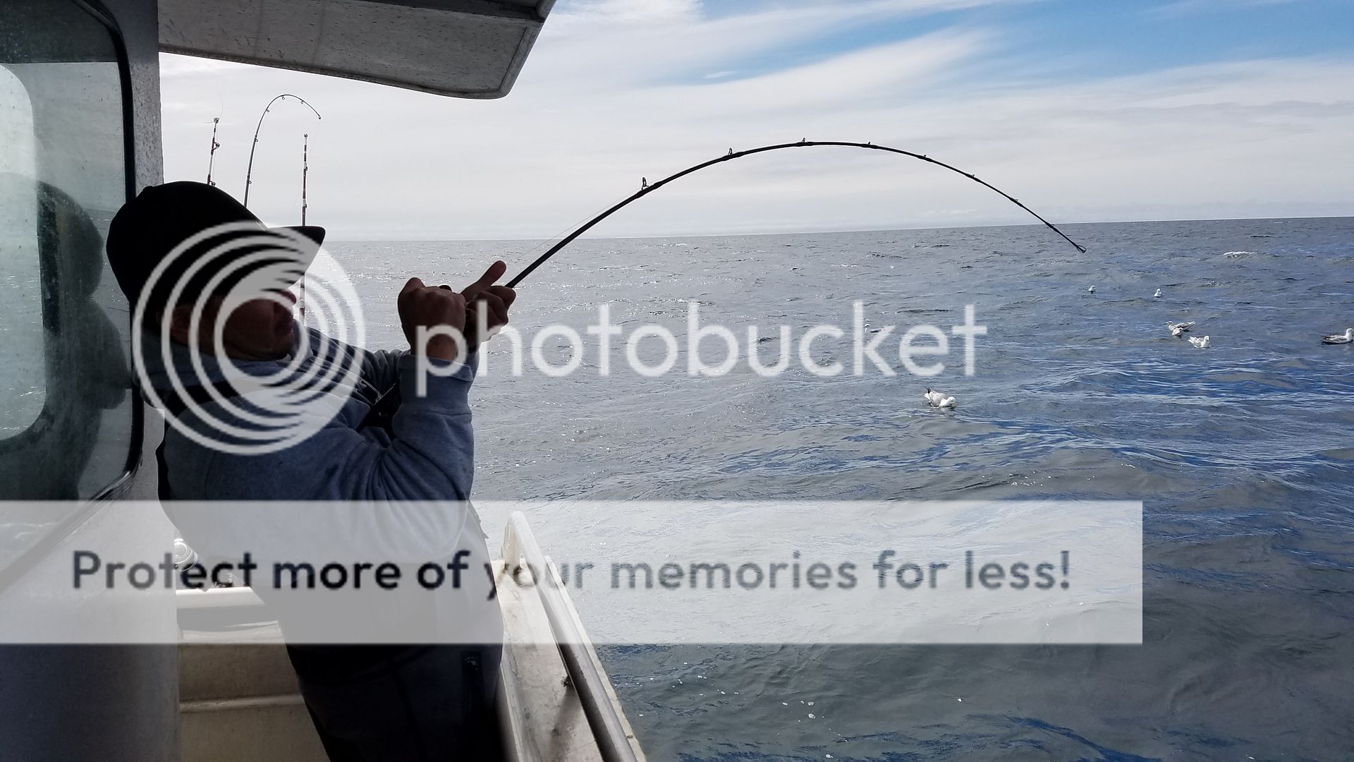 Slow Pitch jigging rods for halibut/ling cod Bloodydecks