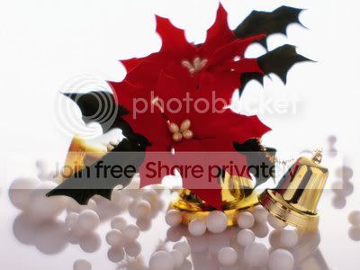 ChristmasDecorationWalls.jpg