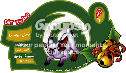 User Image