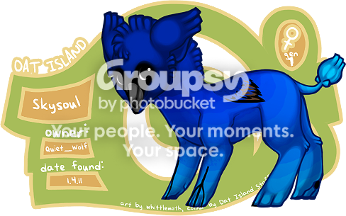 User Image