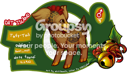 User Image