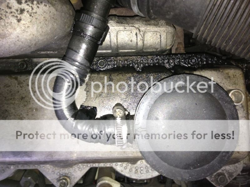 oil leak 1.9 TDI breather? - Skoda Octavia Mk I (1996-2004) - BRISKODA