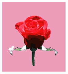 Thankyourose.gif