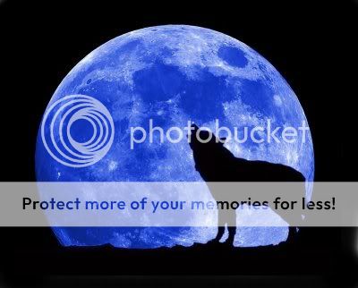 Blue Moon wolves Pictures, Images and Photos