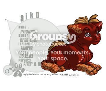 User Image