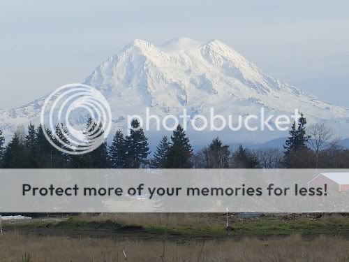 Image hosting by Photobucket