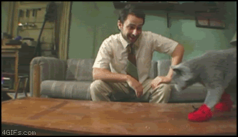 1264912136876.gif