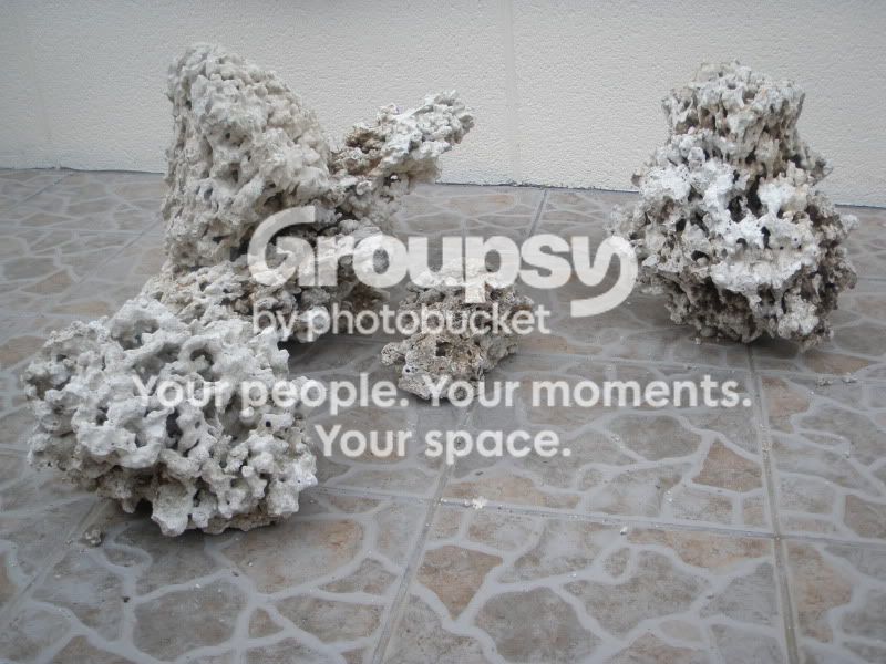 [TodoMarino.com] Momento aquascaping
