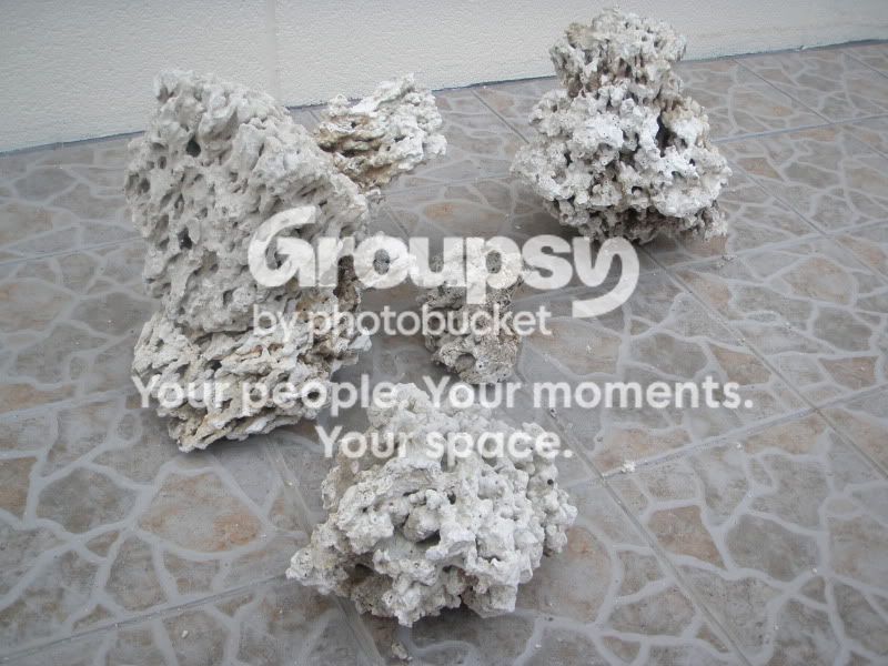 [TodoMarino.com] Momento aquascaping