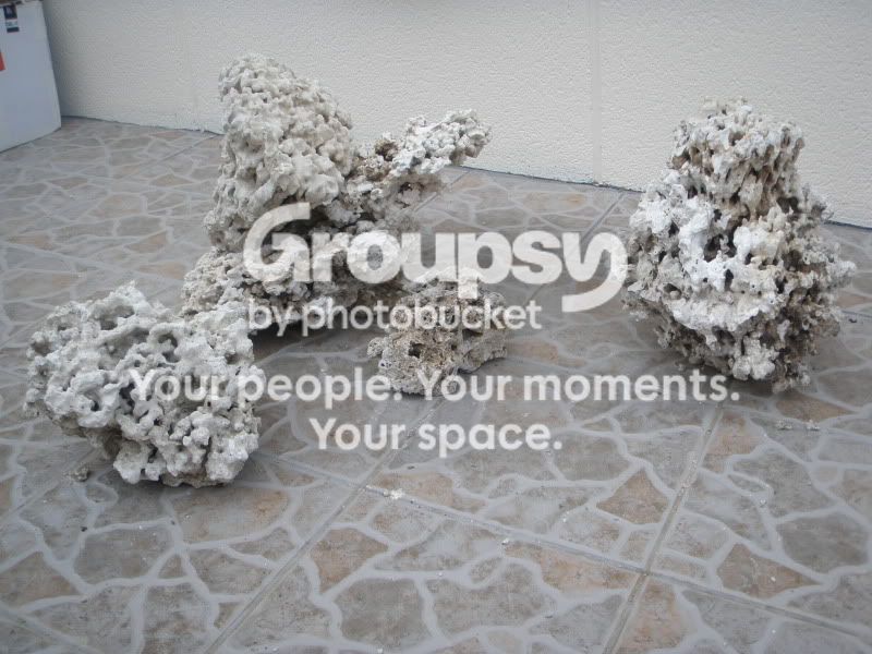 [TodoMarino.com] Momento aquascaping