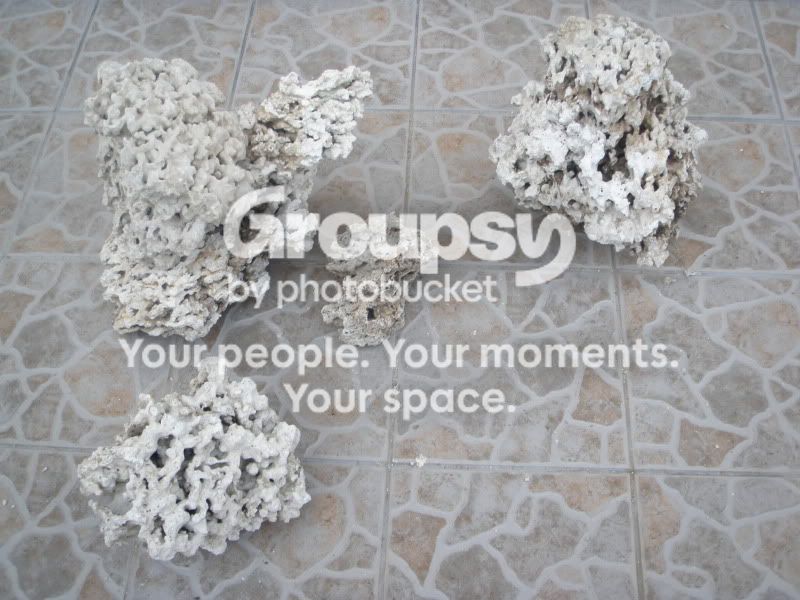 [TodoMarino.com] Momento aquascaping