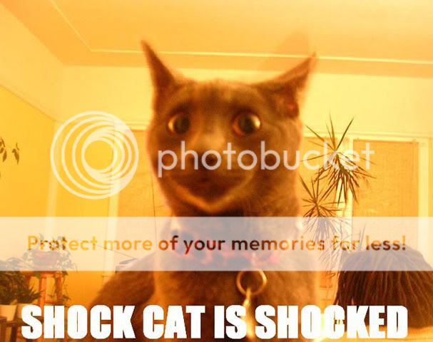 https://i2.photobucket.com/albums/y31/Fredcat/Cats%2003/Cat-CatLookingShockedShockCatIsShoc.jpg