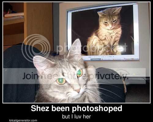 Cat-CatNextToImageOfCatOnScreenShes.jpg