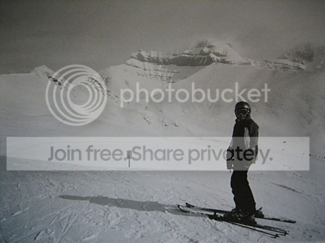 IMG_8803.jpg