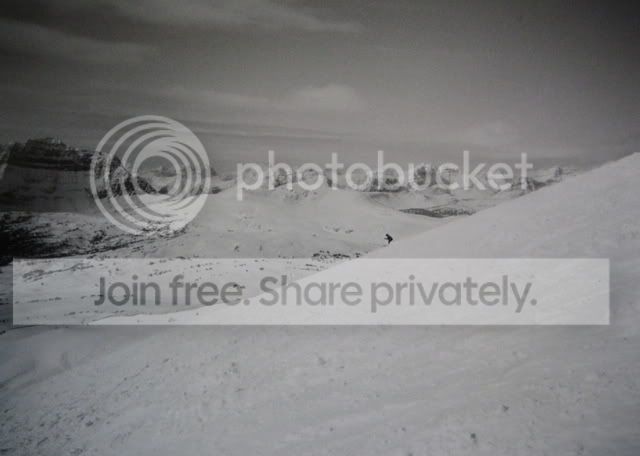 IMG_8810.jpg