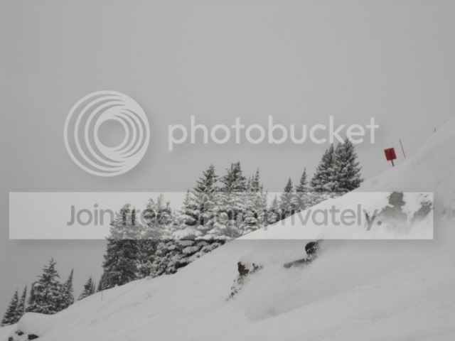 IMG_8672.jpg