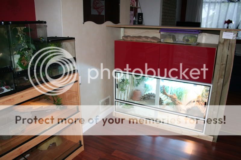 4x2x2 Vivarium, full setup - Birmingham - Reptile Forums