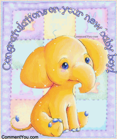 Baby-Elephant-1.gif