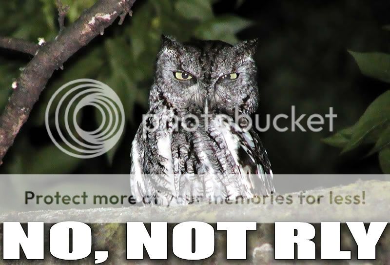 https://i2.photobucket.com/albums/y42/GilGrissomCSI/No_not_rly_owl.jpg