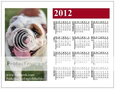 English Bulldog 2012 Photo Calendar Magnet  