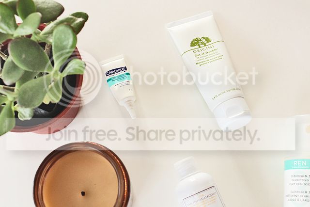  photo Skinsaviour2.jpg