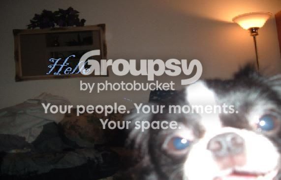 User Image
