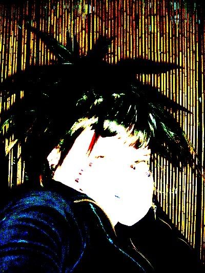Image hosted by Photobucket.com