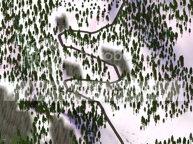 switchbacks05.jpg