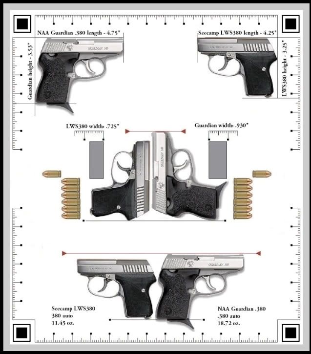 Seecamp 380 or NAA Guardian 380 - The Firing Line Forums