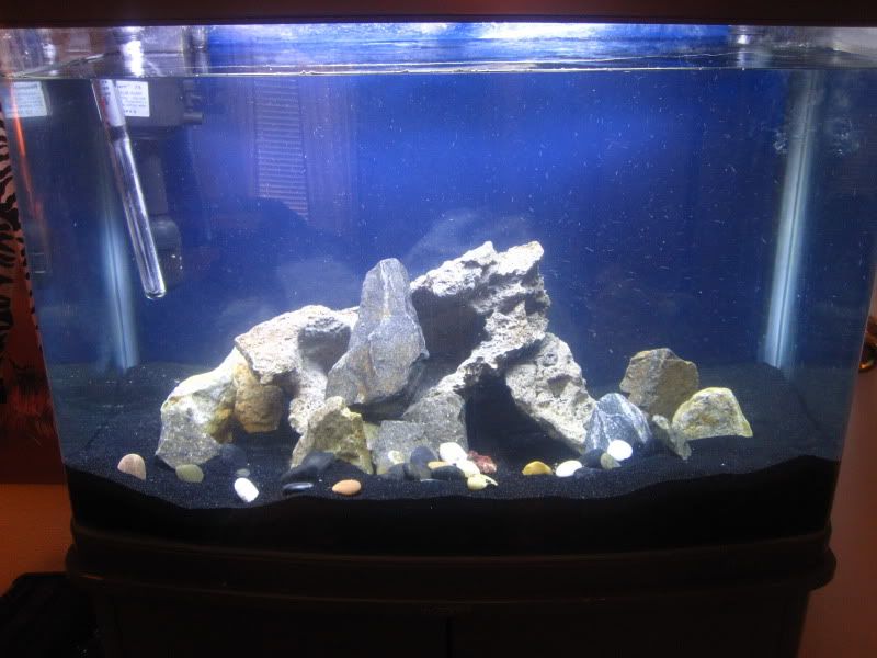 Fishstunnerschematic Powerful Aquarium Lighting General Discussion