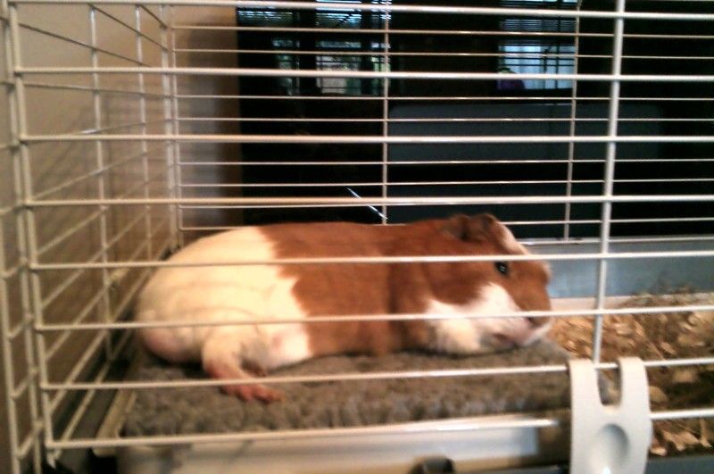 IMAG0025-1.jpg