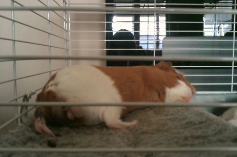IMAG0038-1.jpg