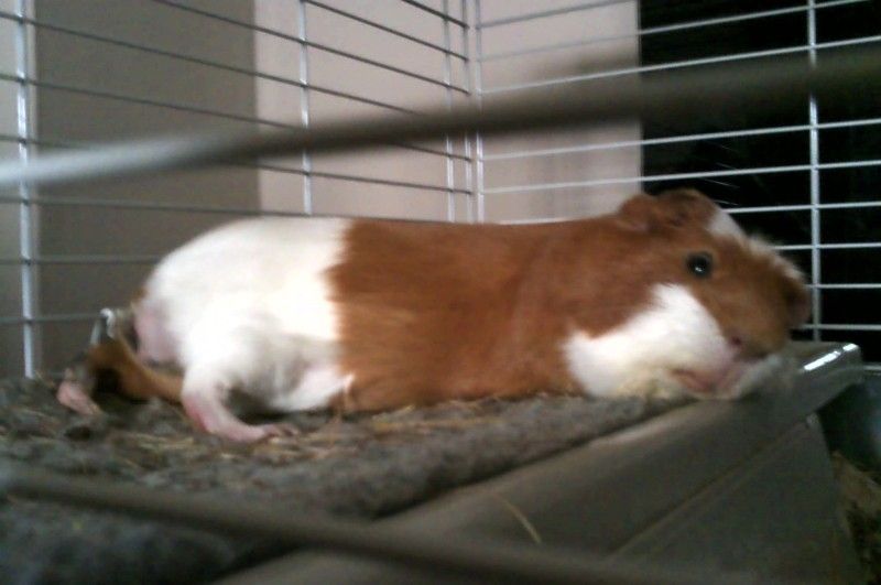 IMAG0039-1.jpg
